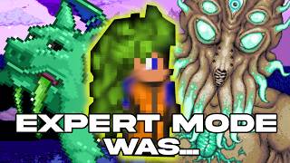I beat EXPERT MODE in Terraria. Here is what happened.