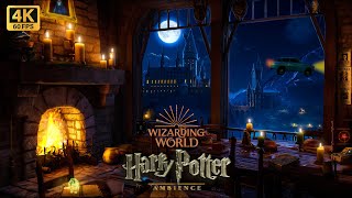 Nacht in Hogwarts 🌛Harry Potter ASMR-Ambiente: Knisterndes Feuer, Grillen screenshot 2