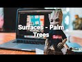 Palm Trees Lirik Surfaces mp3