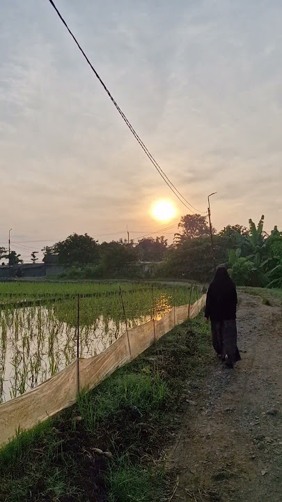 INDAHNYA MENTARI PAGI & PESAWAHAN SERTA JALAN PANTURA SANGAT MEMPESONA, MASYA ALLAH! #videoshort