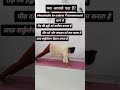 Mountain to Cobra Flow | Spine Stretch & Back Pain Relief Yoga | Daily Flexibility Routine #shorts