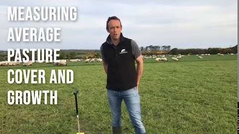 Guide to Grazing Management - Measuring Average Pasture Cover and Growth