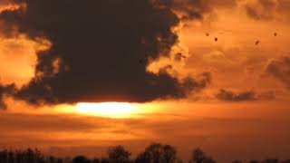 Sunset: Birds and Sun between the clouds, with New Age Music from Nico Contini !