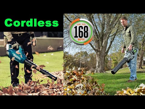 5 Leaf Blowers for 2020 | Greenworks Pro, Makita XBU02, EGO Power+, WORX, Oregon BL300