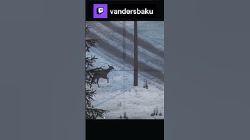 Bambinette Rip #Twitch #dayz #vandersX76 #tiktok #survival #live #agoraZ #ASMR #chill #zen #dayzclip