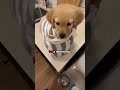 #wholesome