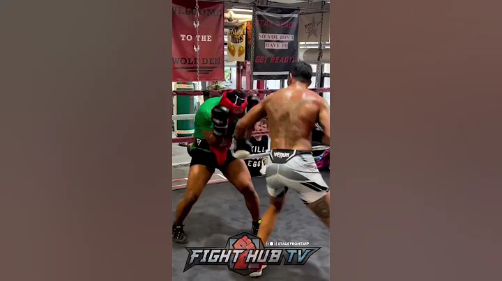 ALEX PEREIRA SPARRING BEATDOWN! LETS HANDS GO ON PARTNER!