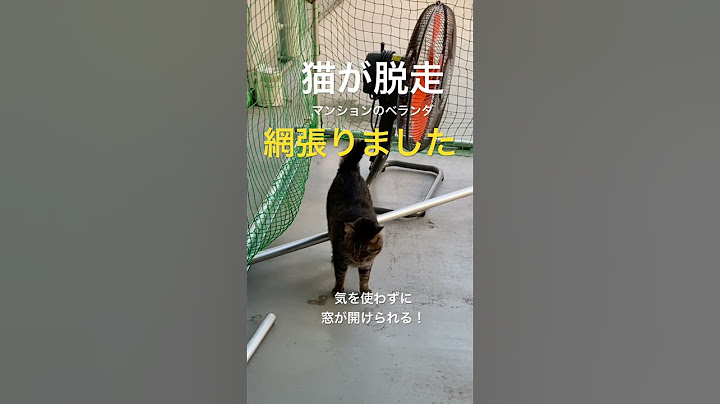 熊本市 住宅リフォーム会社 猫の脱走ベランダ 脱走防止 網を張る