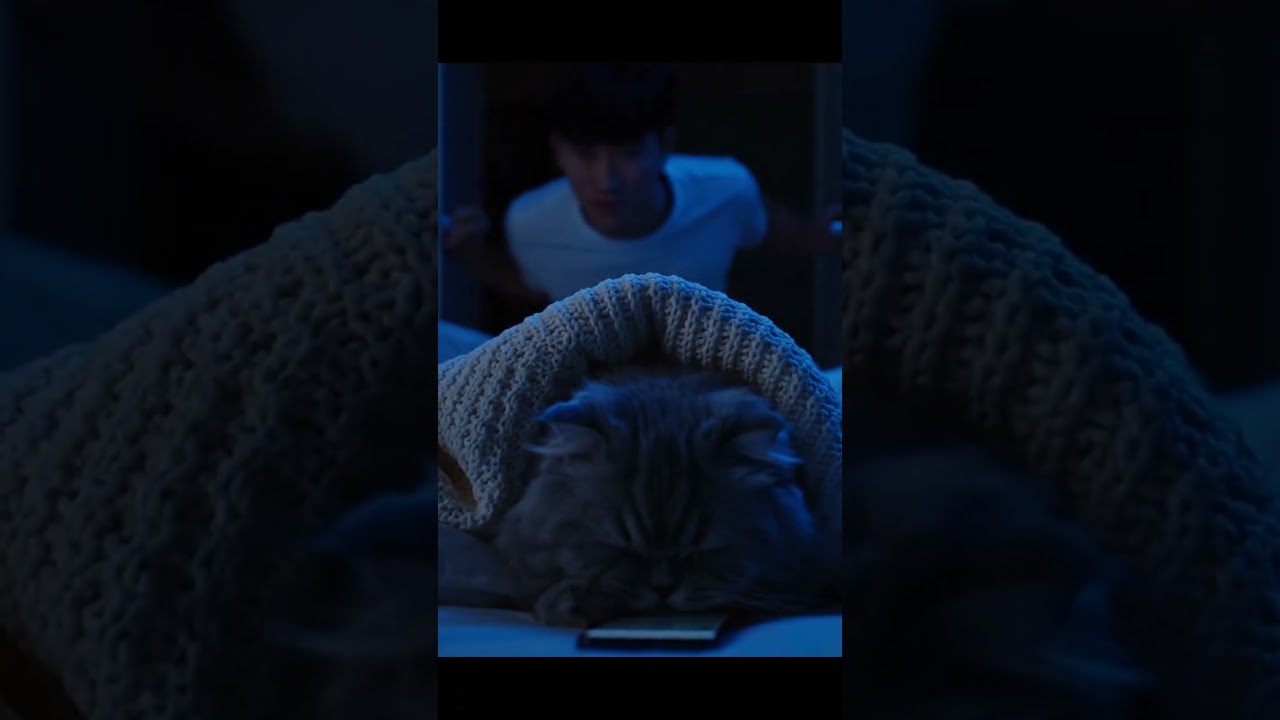 Watch The Midnight Swiper of a Kitty on YouTube Watch The Midnight Swiper of a Kitty on YouTube