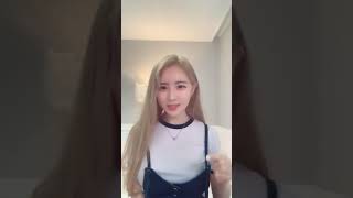 Kosmos0331 Pichu 피츄 Litle