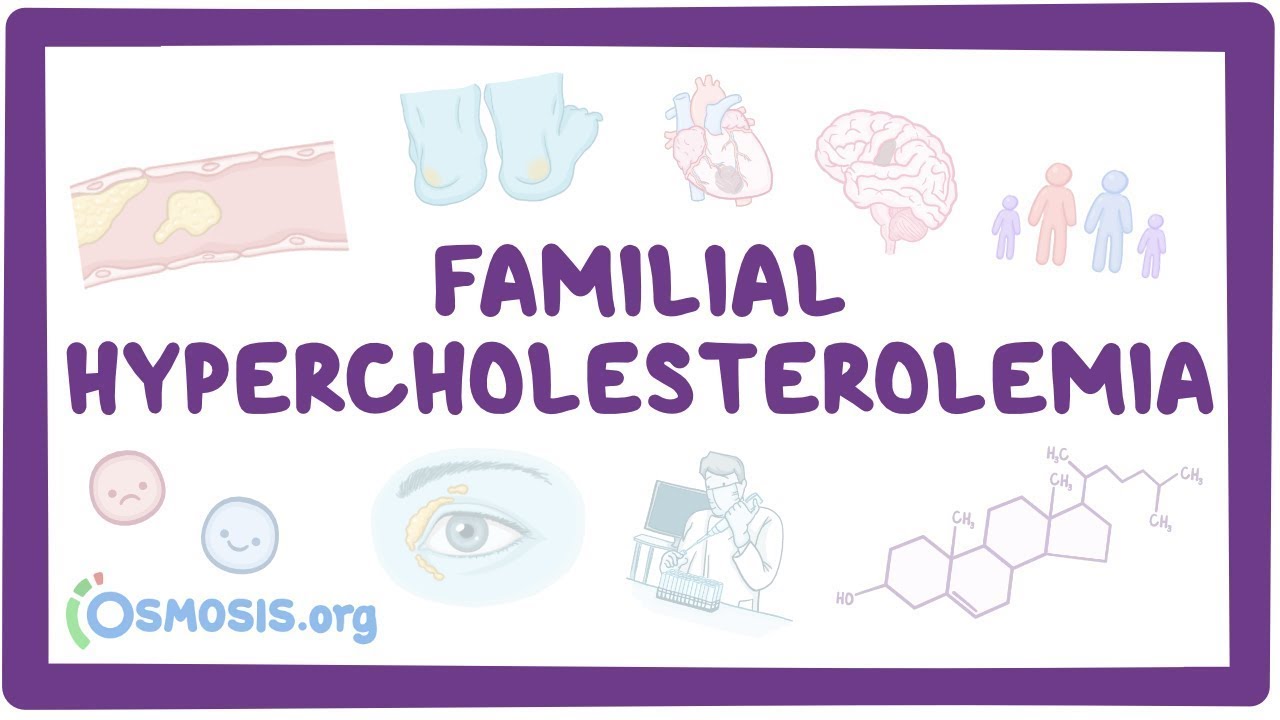 Familial hypercholesterolemia an Osmosis Preview YouTube