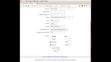 Using custom fields in Anuko Time Tracker