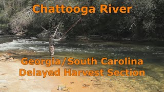 Fishing the Chattooga River Delayed Harvest Section, GA/SC