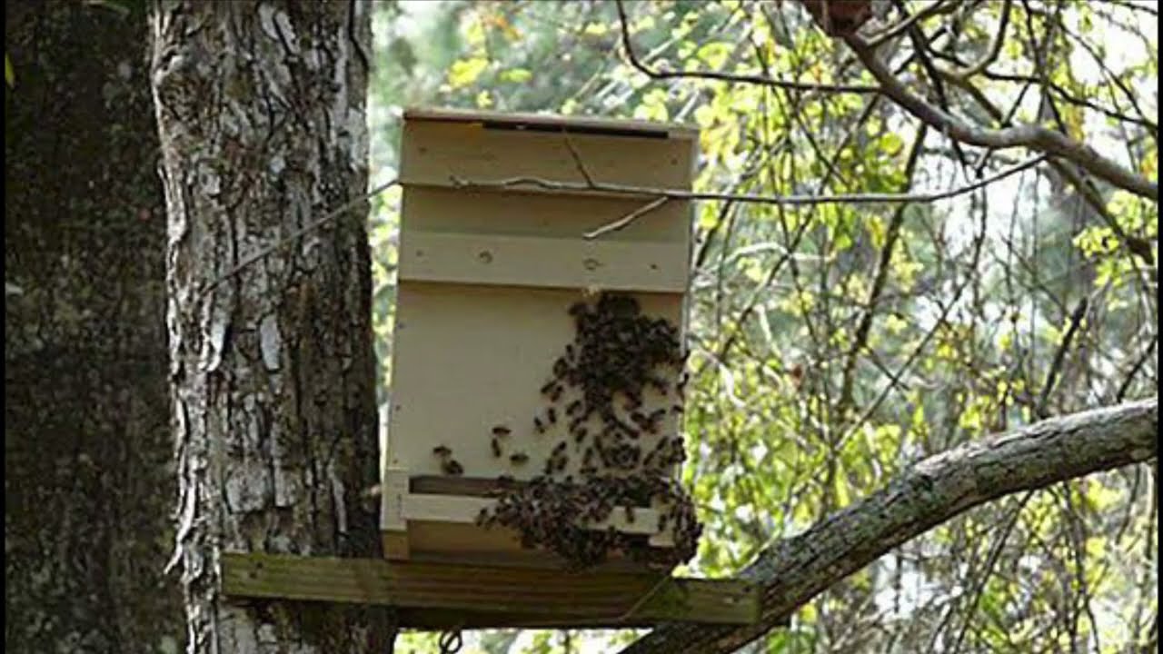 Tuzak Kovan Koymak Etik midir?