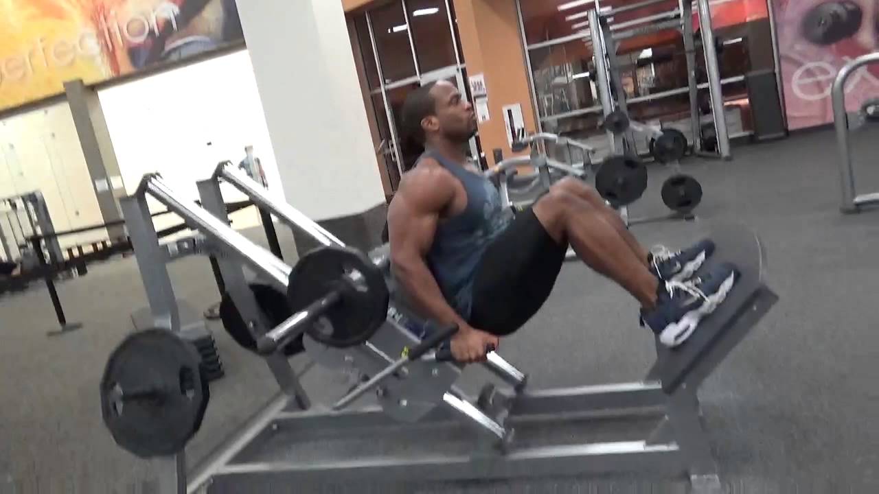 THE HACK SQUAT YouTube