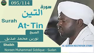 095/114. Surah At-Tin | سورة التين | Noreen Muhammad Siddique - Sudan