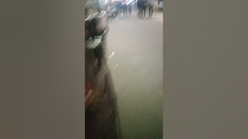 What is Reyleigh model for software reliability? - software engineer interview questions