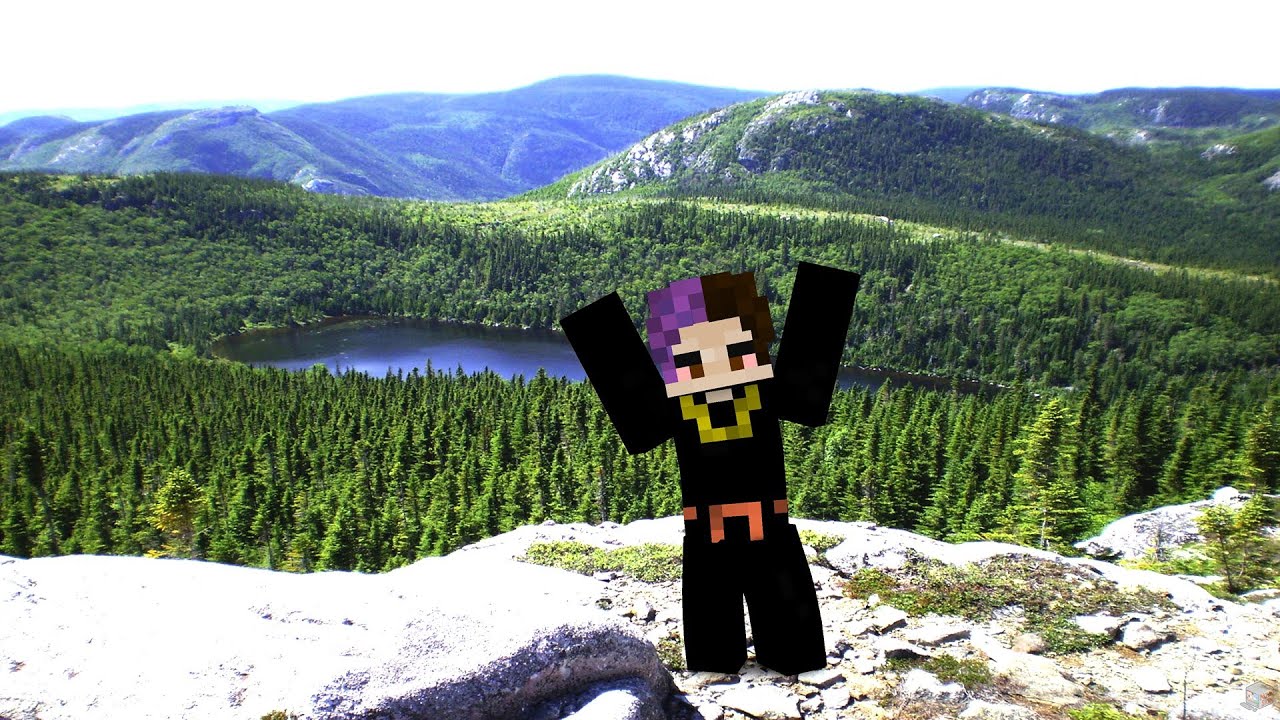 LT3 Nethpot | Best Kill Montage