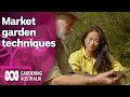 This market garden uses backyard methods for large scale produce | Discovery | Gardening Australia