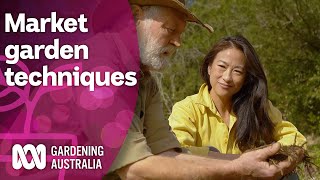 This market garden uses backyard methods for large scale produce | Discovery | Gardening Australia