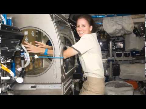 Expedition 24 (part 2)