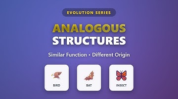 Analogous Structures: Similar Function, Different Origin | Evolution Explained