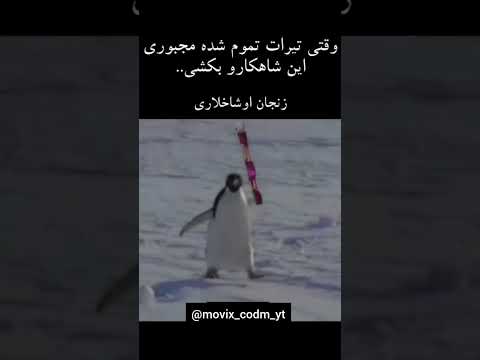 من نظر ندارم Callofdutymobile 