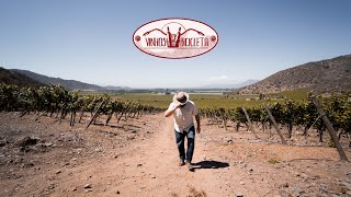 CHILE, WINE & TRAVEL • Tarapacá Winery • Ep. 02
