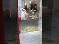 Autonomous obstacle avoidance,advertising machine that can also work all day, what do you think?