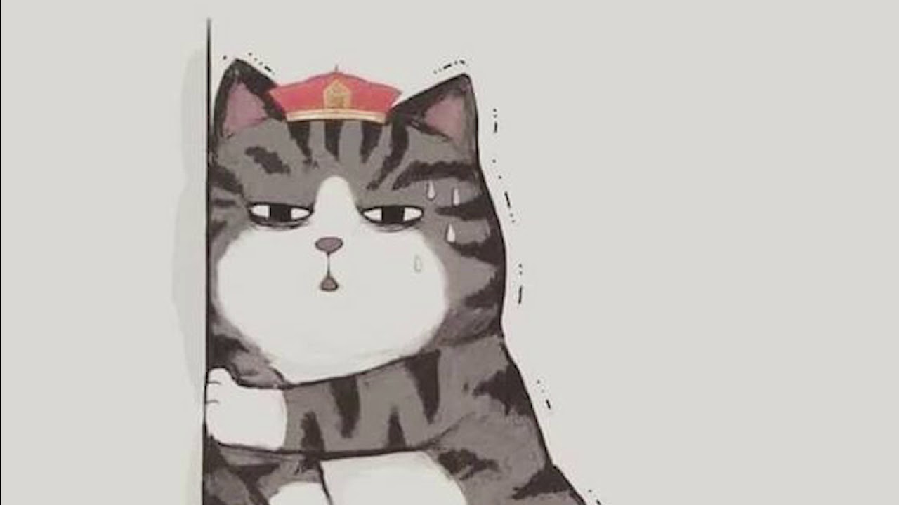 Nhạc nền vui của Độ mixi