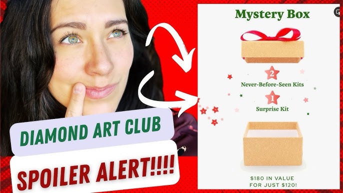 Diamond Art Club Clearance Mystery Box 