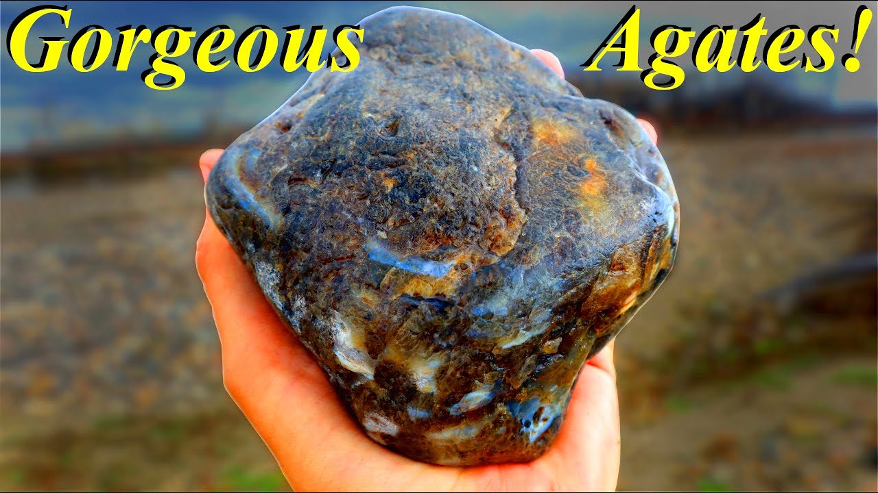 This Agate is Crazy! Rockhounding for Beautiful Montana Agates, Petrified Wood, and Jaspers!