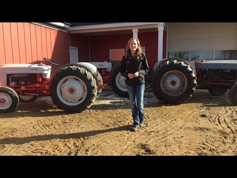 Video: Di manakah nombor siri pada traktor Ford 800?