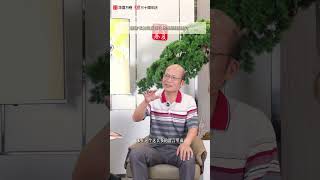 陳忠建專訪·上（2026年·成都·華廈文化）