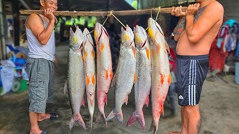 BẮT CÁ SUỐI MÙA LŨ - Tập 2