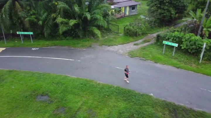 Litchi App for DJI mavic mini first try