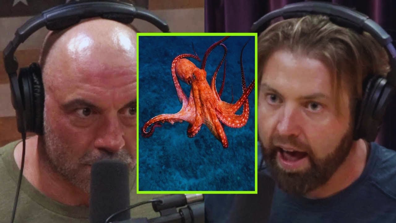 Joe Rogan: 