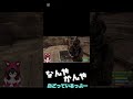 白上サンバ#ホロライブ #白上フブキ