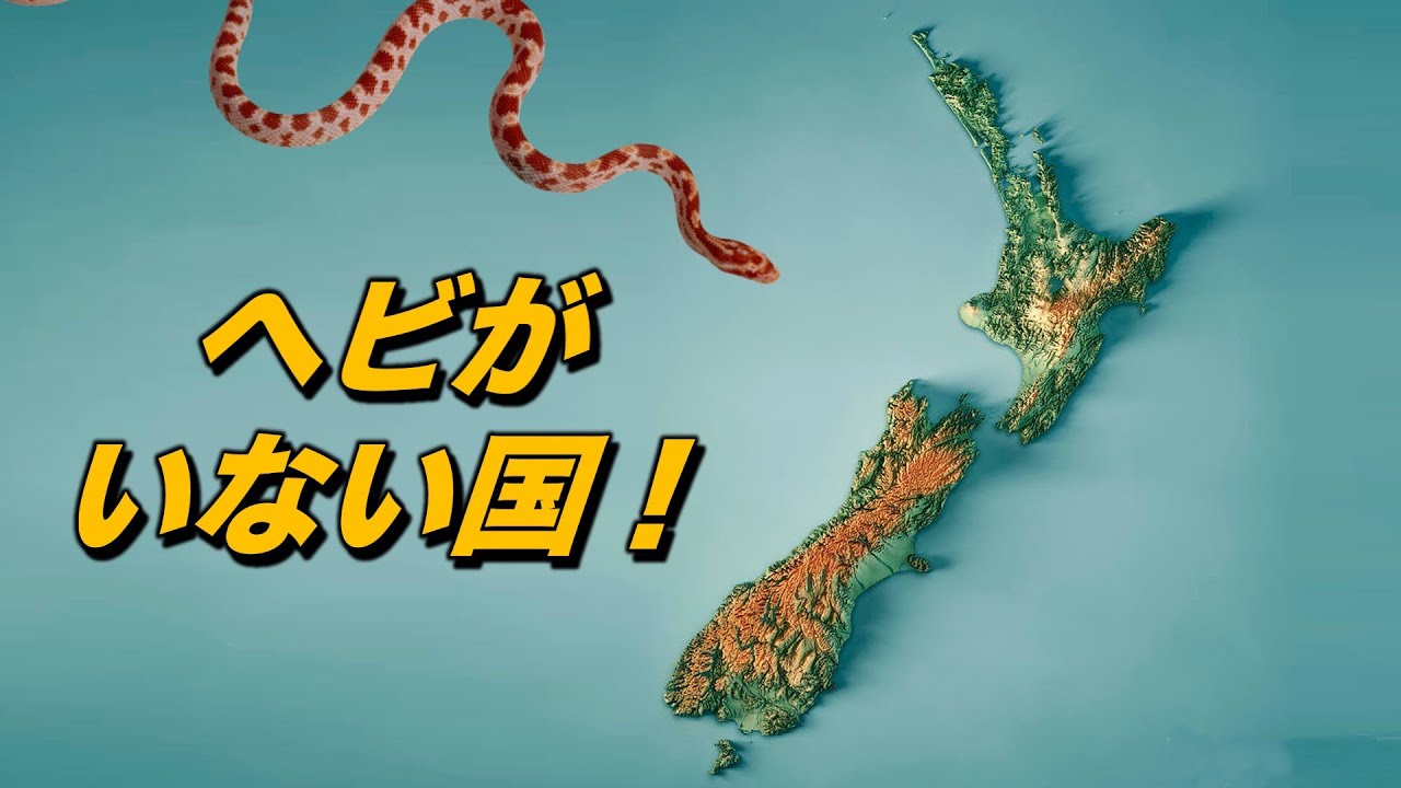 ニュージーランドでヘビの飼育が違法になる科学的な理由（動物園でも違法です）