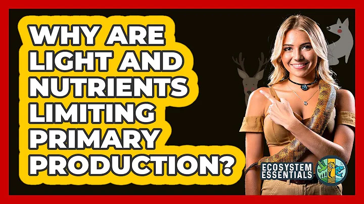 Why Are Light And Nutrients Limiting Primary Production? - Ecosystem Essentials