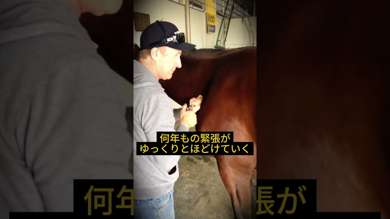 この馬は誰も触れなかった。でも、ある道具が全てを変えた