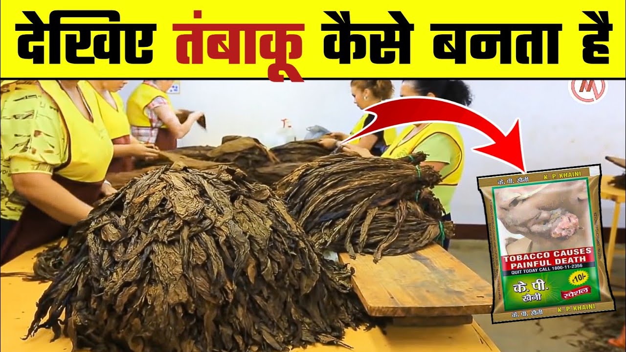 pata chap tobacco CHETAK CHAAP   (  )