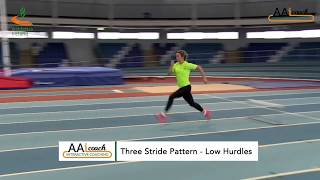 Hurdles - Three Stride Pattern Over Low Hurdles