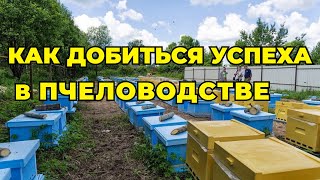 Технология и годовой цикл содержания пчелосемей в одном гнездовом корпусе. Система  300 + 145 рамка.