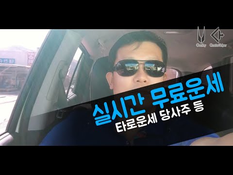 실시간 운세 <strong>당사주</strong> 타로점 <strong>보기</strong> 금전운 재회운 2023년 운세 등