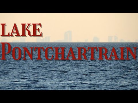 Vidéo: Y a-t-il des alligators dans le lac pontchartrain ?