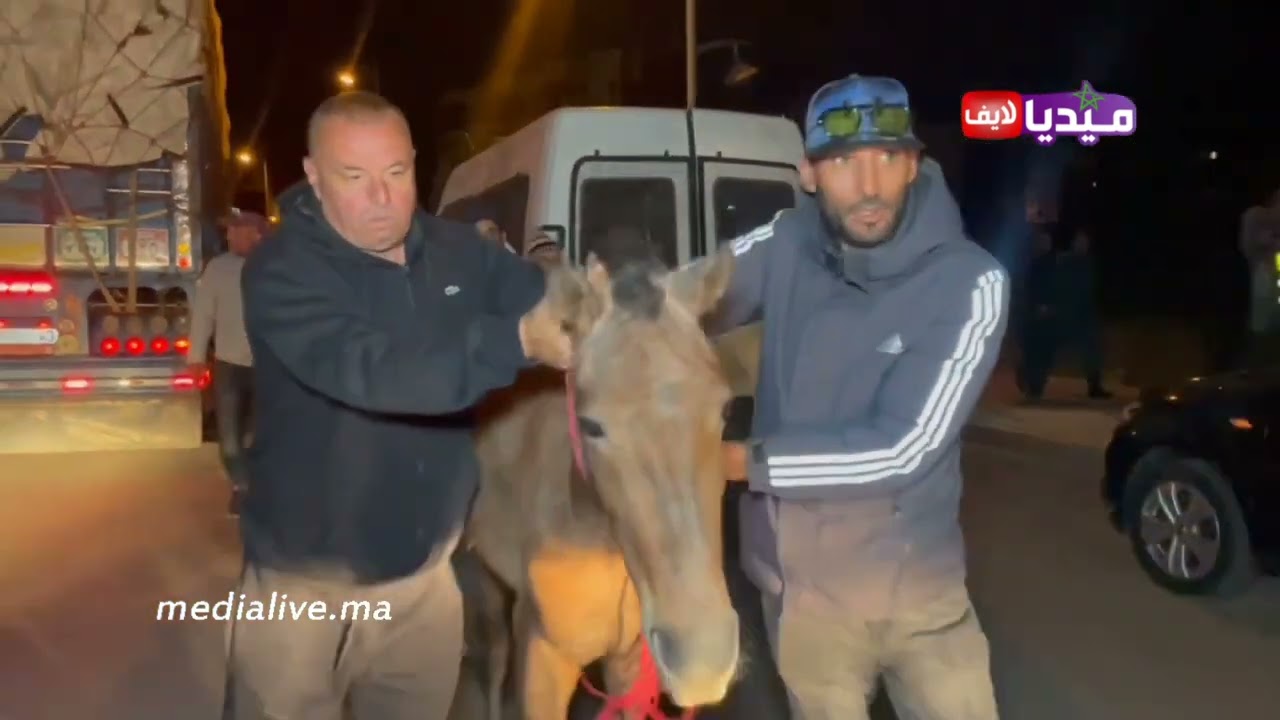 ناضو ليهم حملة قوية لتحرير الملك العمومي .. من الدواب و الحمير و .. بسطات