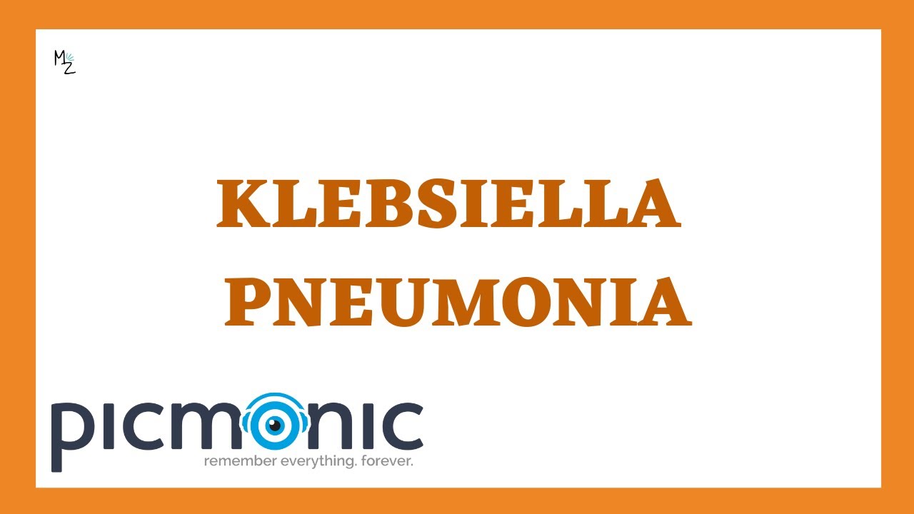 What is Klebsiella pneumoniae? Symptoms of pneumonia and UTI caused by