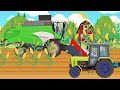 FARM WORK - Tractor and Corn Harvester for KIDS | Cartoons Tractors - Bajki Traktory dla Dzieci