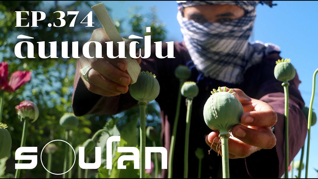 อัฟกานิสถานกับฝิ่น ท่อน้ำเลี้ยงตาลีบัน | ร้อยเรื่องรอบโลก EP.374